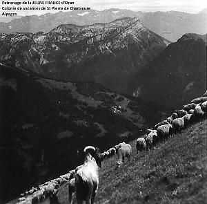 COLO JEUNE FRANCE Alpages